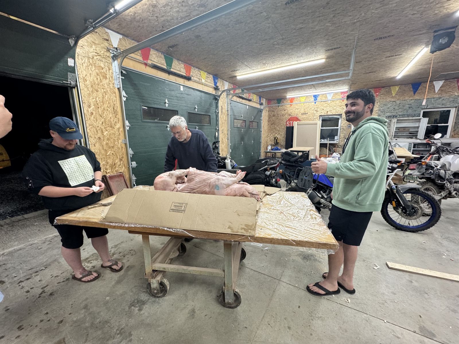 The hog in the garage the night before